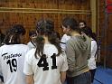 DSCF0537
