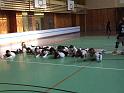 DSCF0564